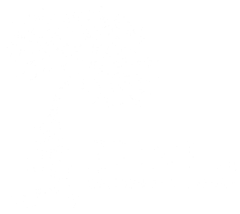 Spine & Orthopaedic Centre – Mr. Rez Rahim